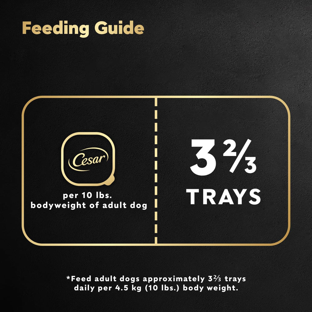 CESAR Home Delights Wet Dog Food - Beef Stew