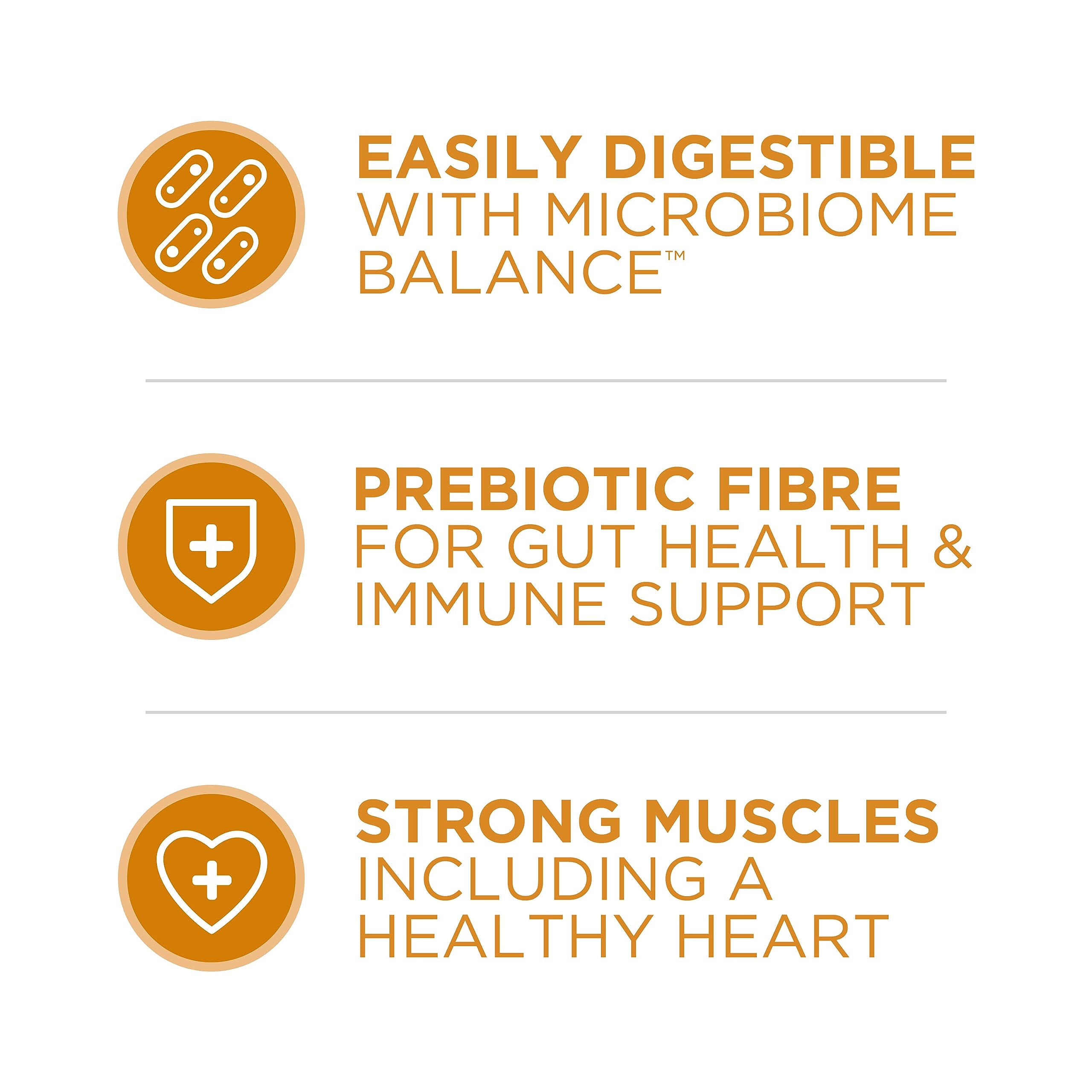 Purina ONE Dry Dog Food, Microbiome Balance Chicken & Rice Formula