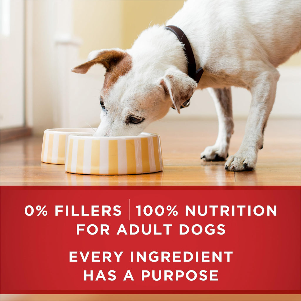 Purina ONE SmartBlend Wet Dog Food Variety Pack, Chicken & Lamb Tender Cuts in Gravy 368g (12 Pack), Brown