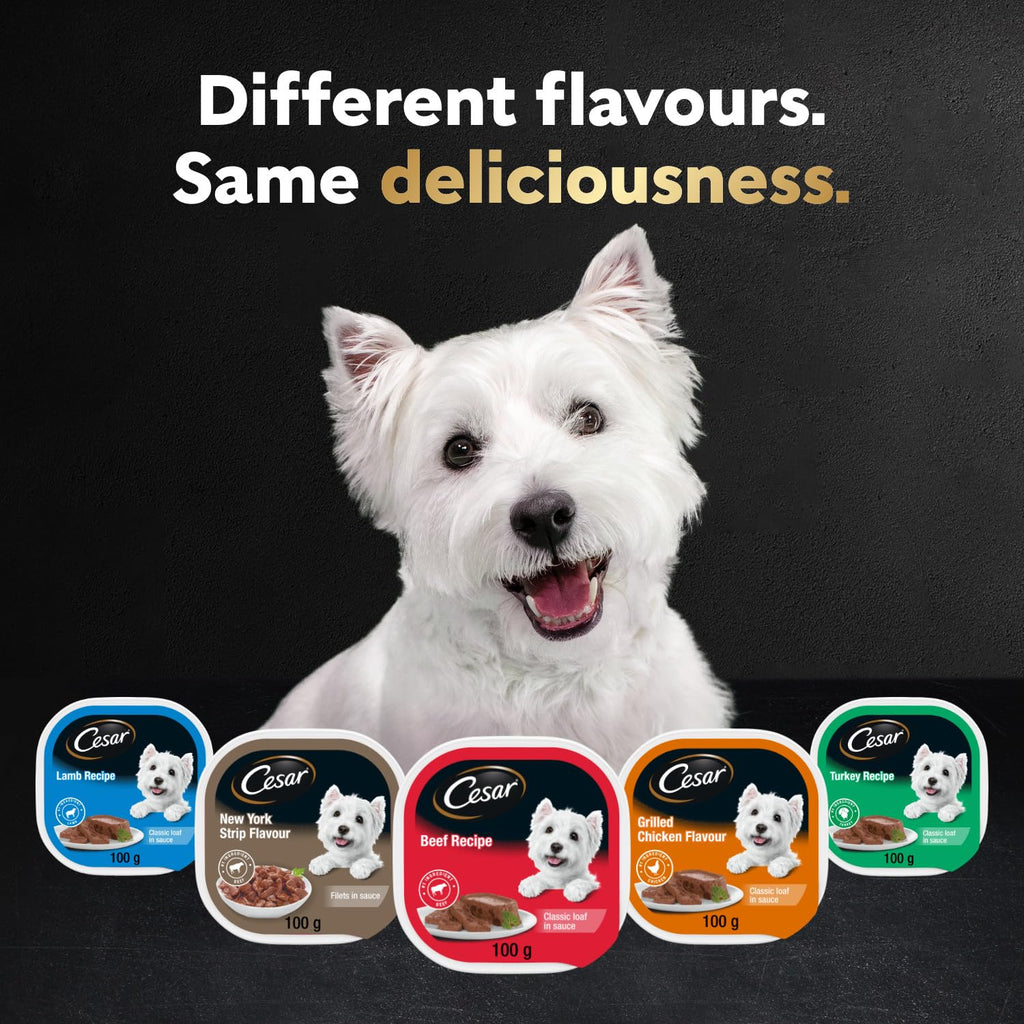 CESAR Home Delights Adult Wet Dog Food - 6 Beef Stew and 6 Hearty Chicken and Noodle Dinner in Sauce