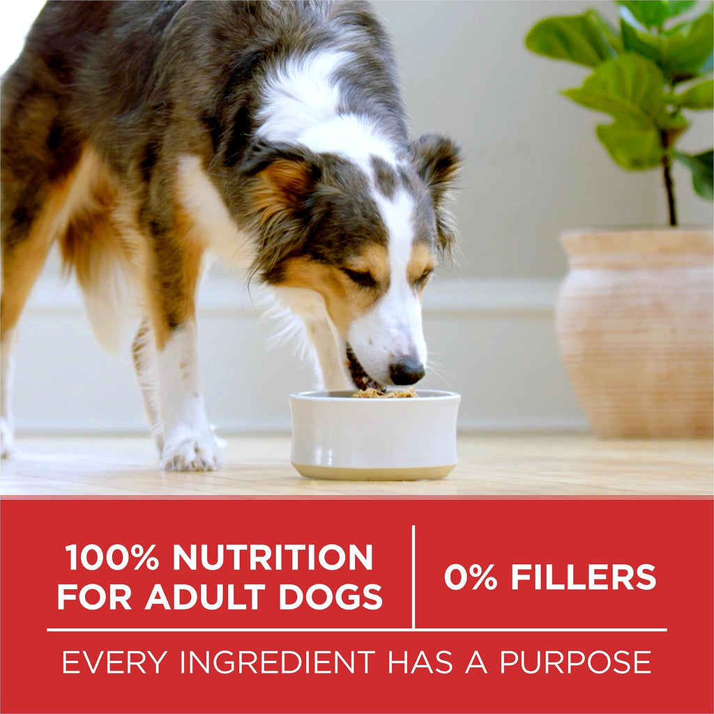 Purina ONE Dry Dog Food, Microbiome Balance Chicken & Rice Formula