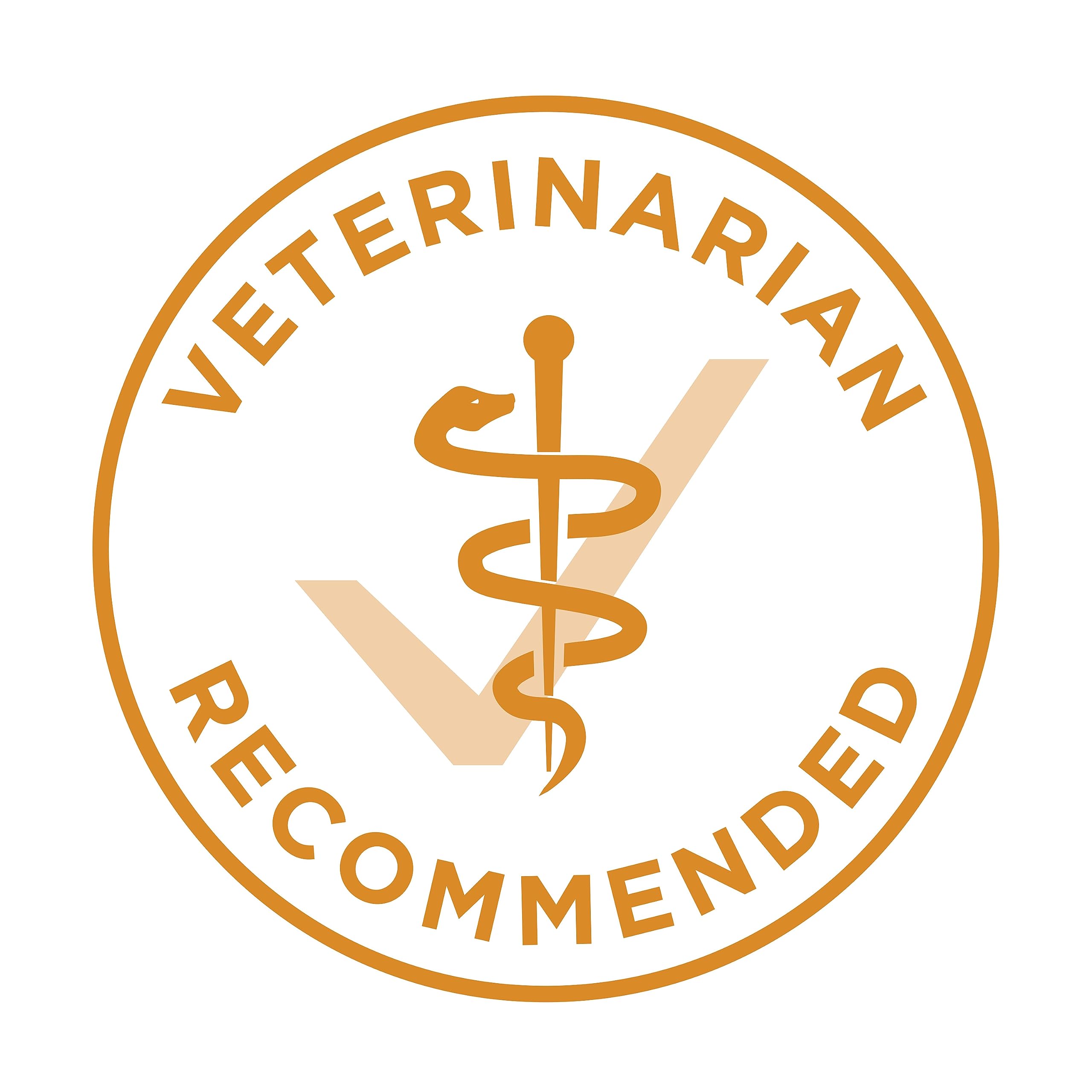 Purina ONE Dry Dog Food, Microbiome Balance Chicken & Rice Formula