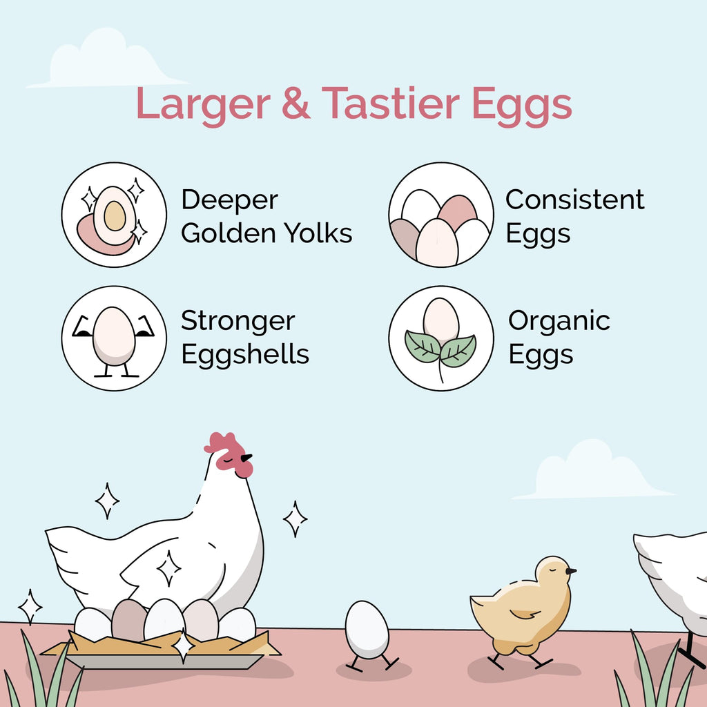 Organic Layer Feed for Chickens & Ducks. 16% Protein, Non-GMO, Corn Free, Soy Meal Free, 100% Whole Grains, Formulated to Optimize Health, Made for Layer Hens Aged 20+ Weeks (46 lb)