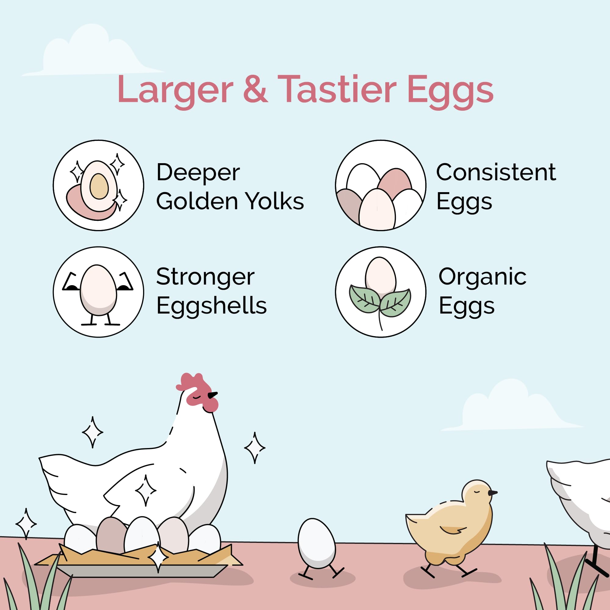 Organic Layer Feed for Chickens & Ducks. 16% Protein, Non-GMO, Corn Free, Soy Meal Free, 100% Whole Grains, Formulated to Optimize Health, Made for Layer Hens Aged 20+ Weeks (46 lb)