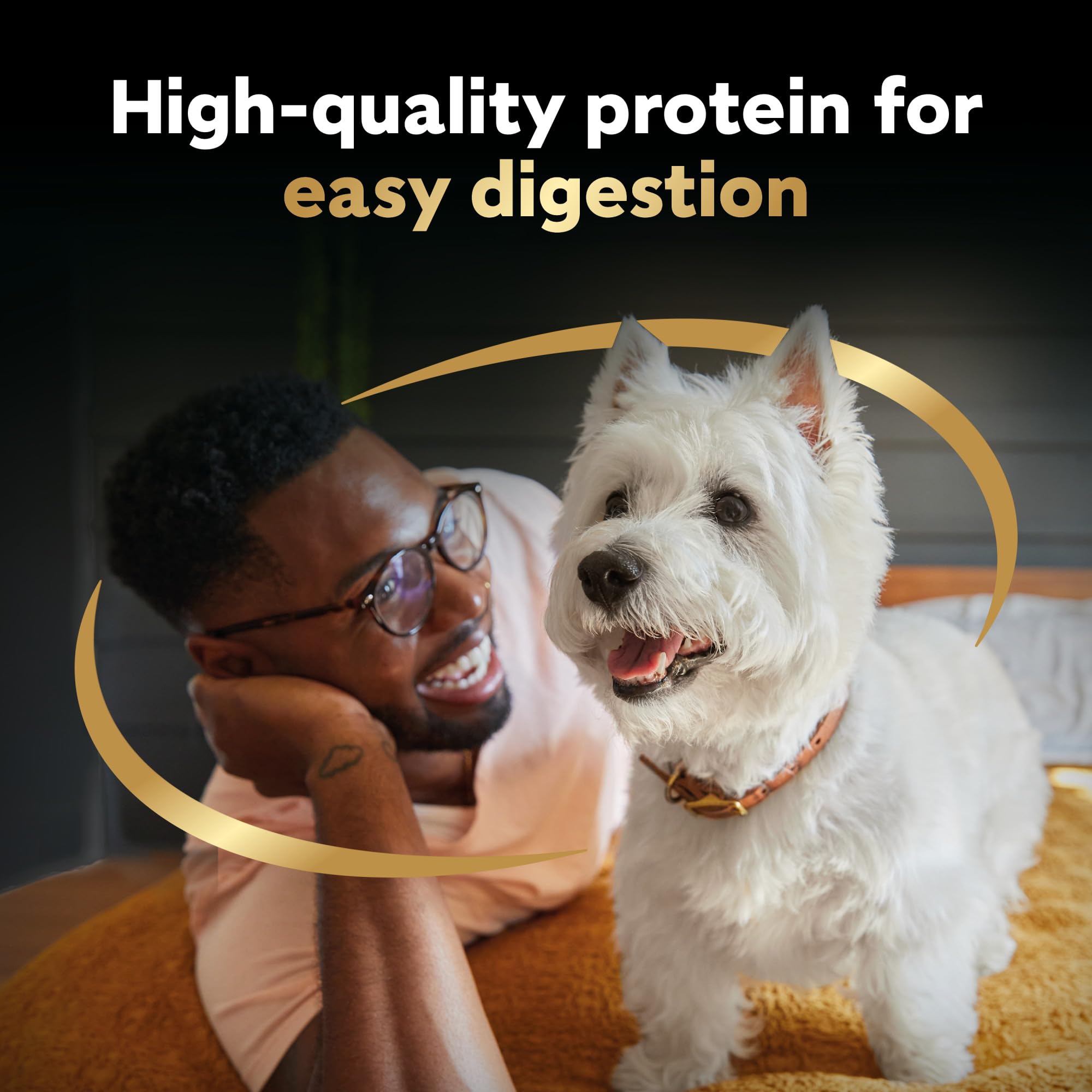 CESAR Home Delights Adult Wet Dog Food - 6 Beef Stew and 6 Hearty Chicken and Noodle Dinner in Sauce