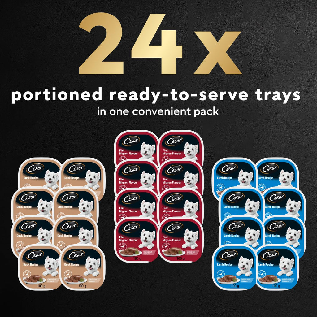 CESAR Classic Loaf in Sauce Adult Wet Dog Food Beef Selects Variety Pack