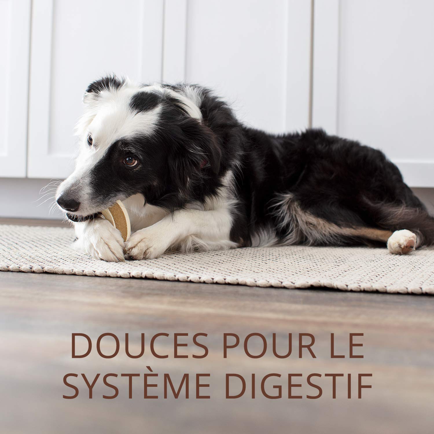 Milk-Bone Wonderbones Dog Treats