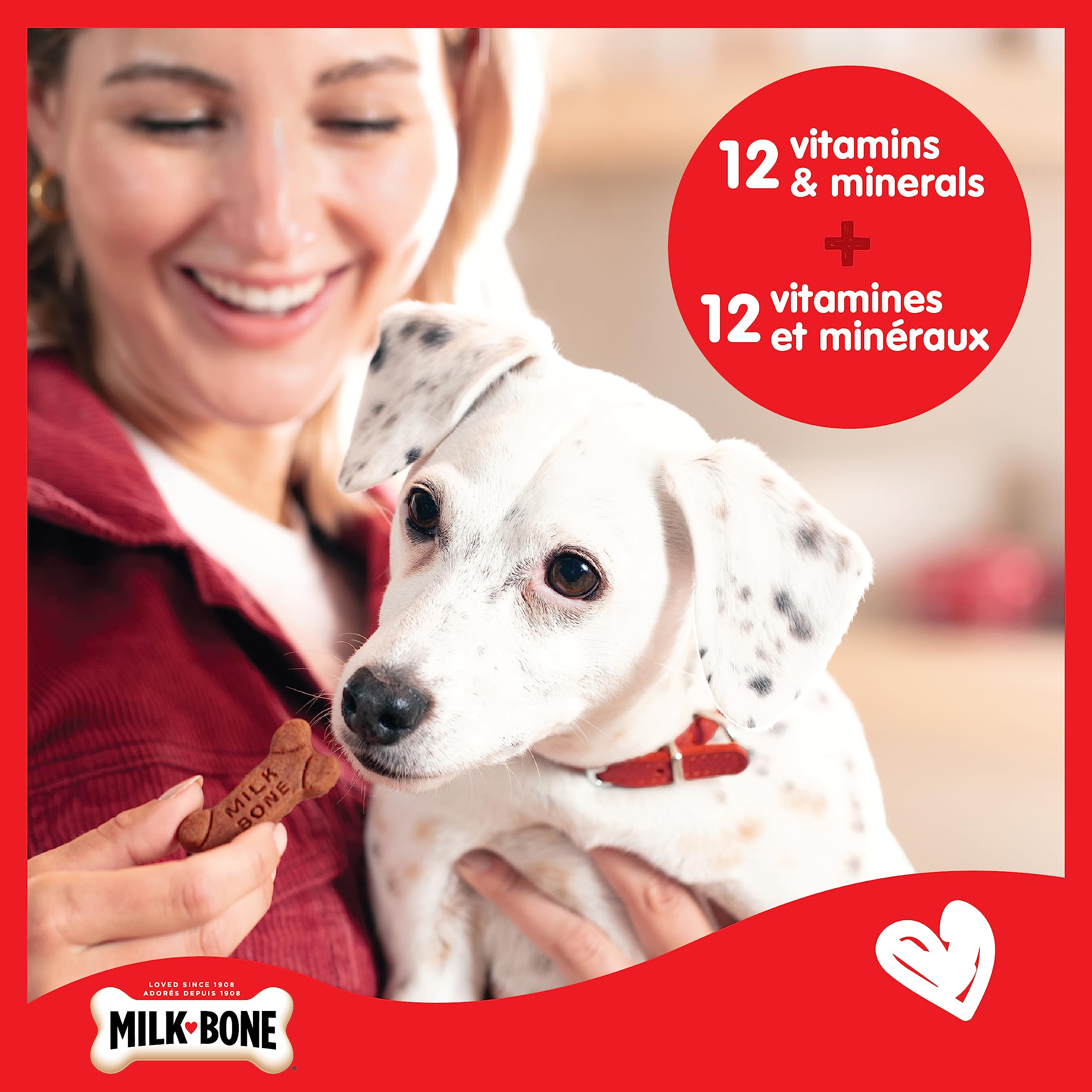 Milk-Bone Soft & Chewy Dog Treats, Tender Oven Baked Snacks Made with Tasty Wholesome Ingredients