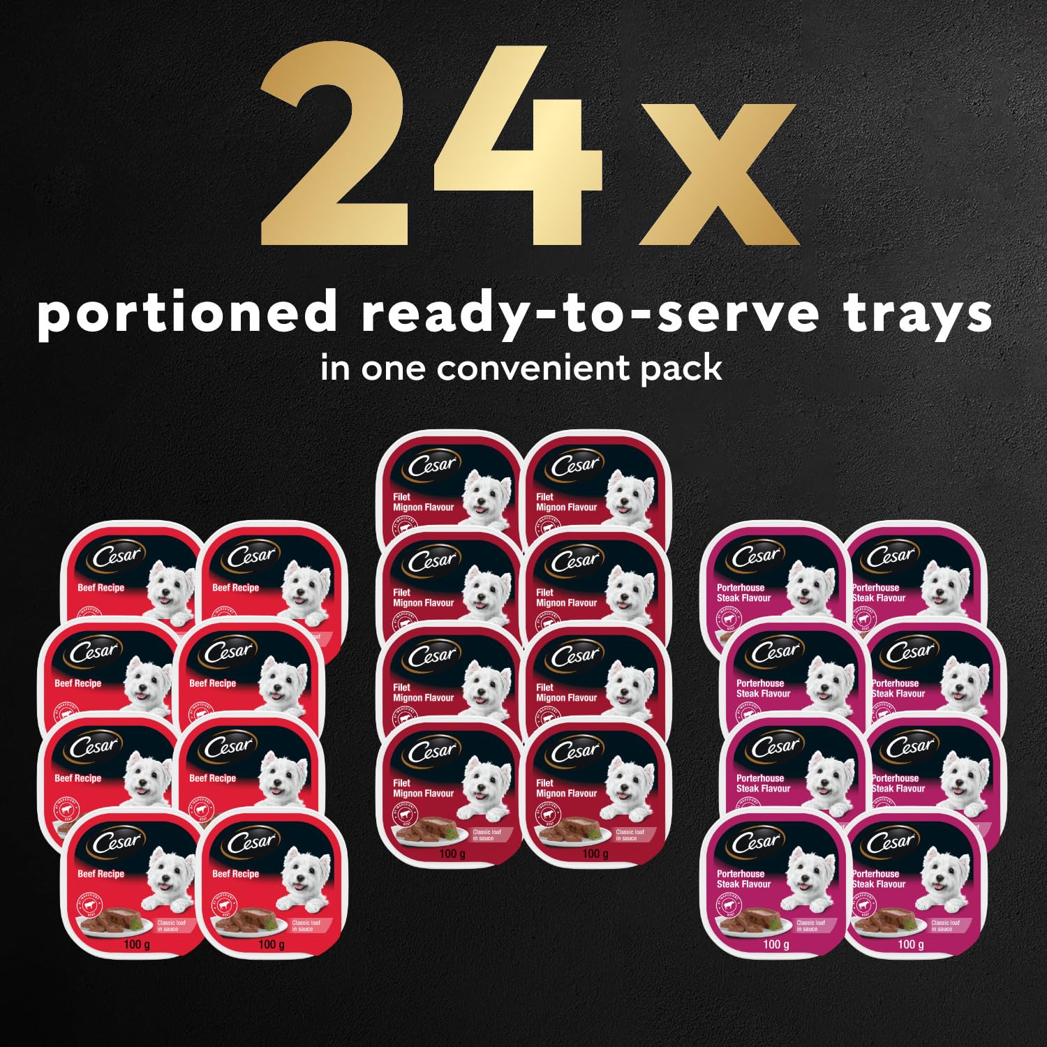 CESAR Classic Loaf in Sauce Adult Wet Dog Food Beef Selects Variety Pack