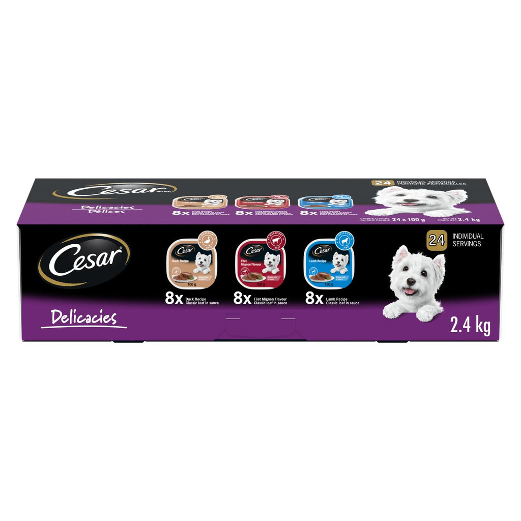 CESAR Classic Loaf in Sauce Adult Wet Dog Food Beef Selects Variety Pack