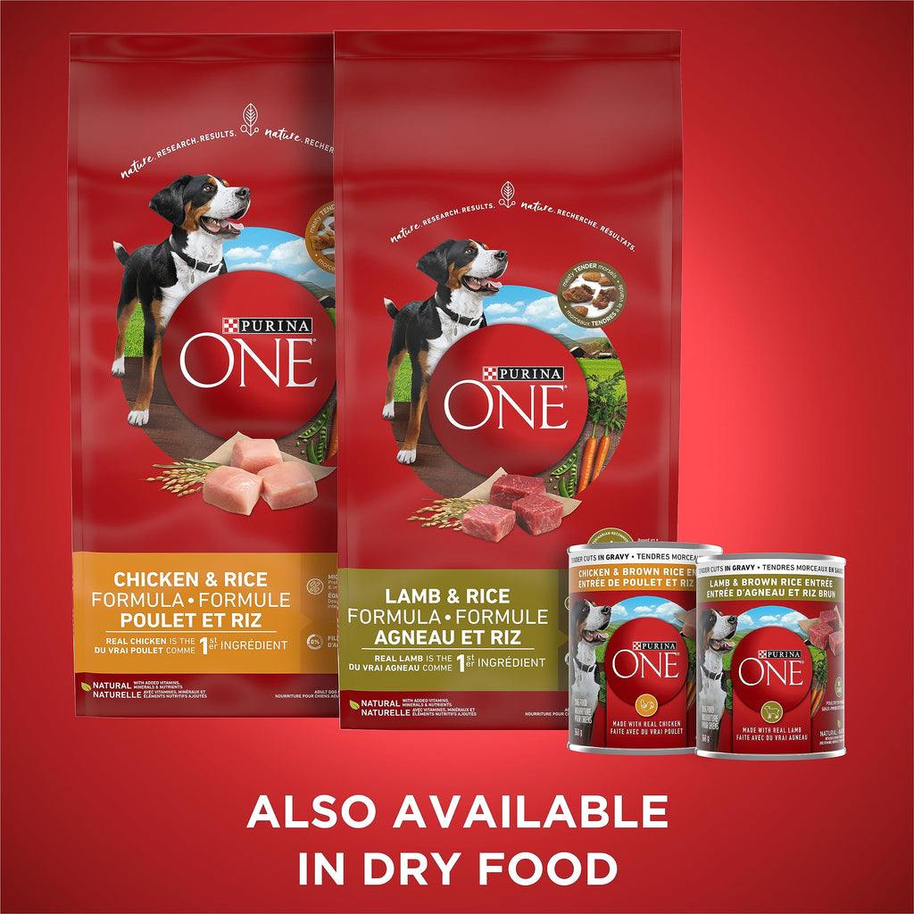 Purina ONE SmartBlend Wet Dog Food Variety Pack, Chicken & Lamb Tender Cuts in Gravy 368g (12 Pack), Brown