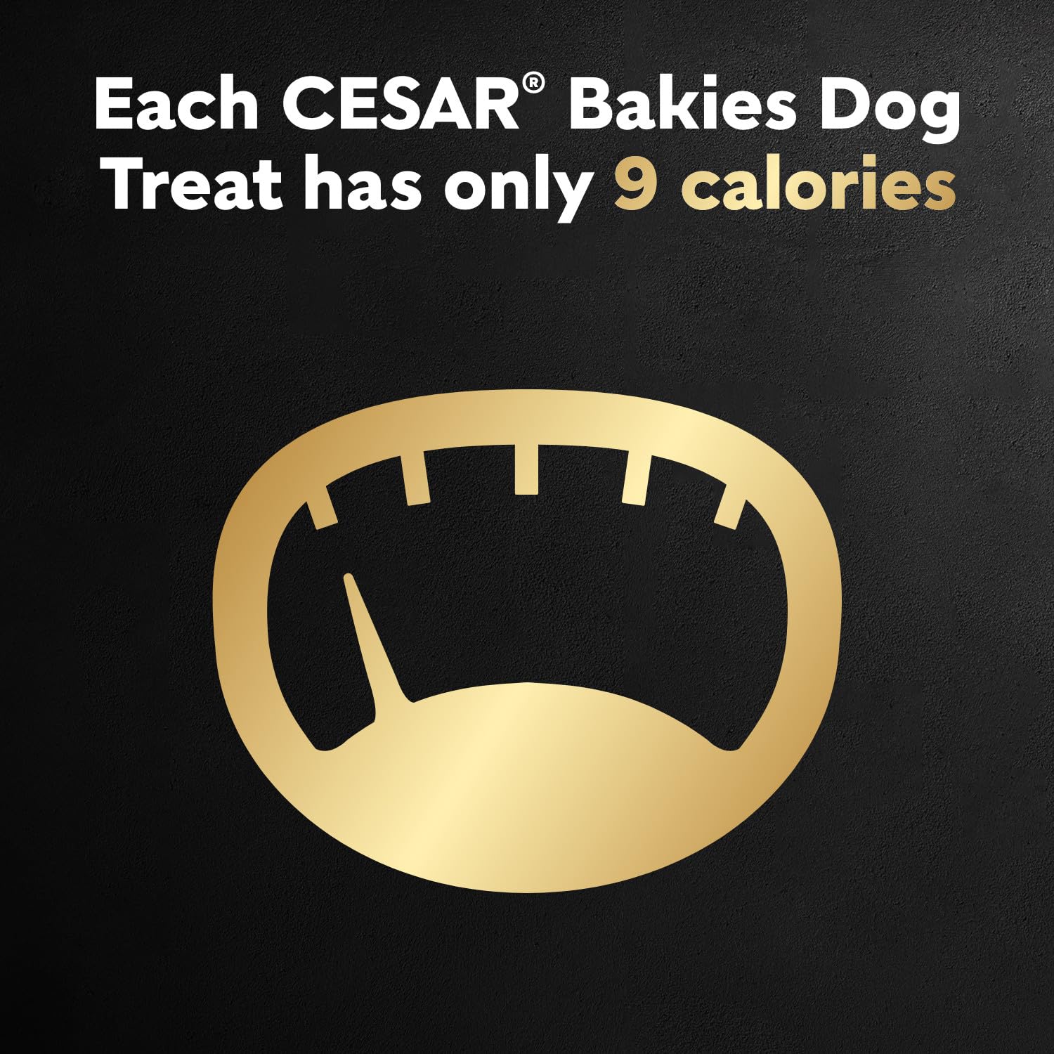 Cesar Bakies Treat