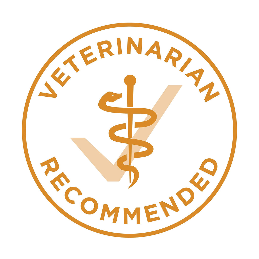Purina ONE Dry Dog Food, Microbiome Balance Chicken & Rice Formula