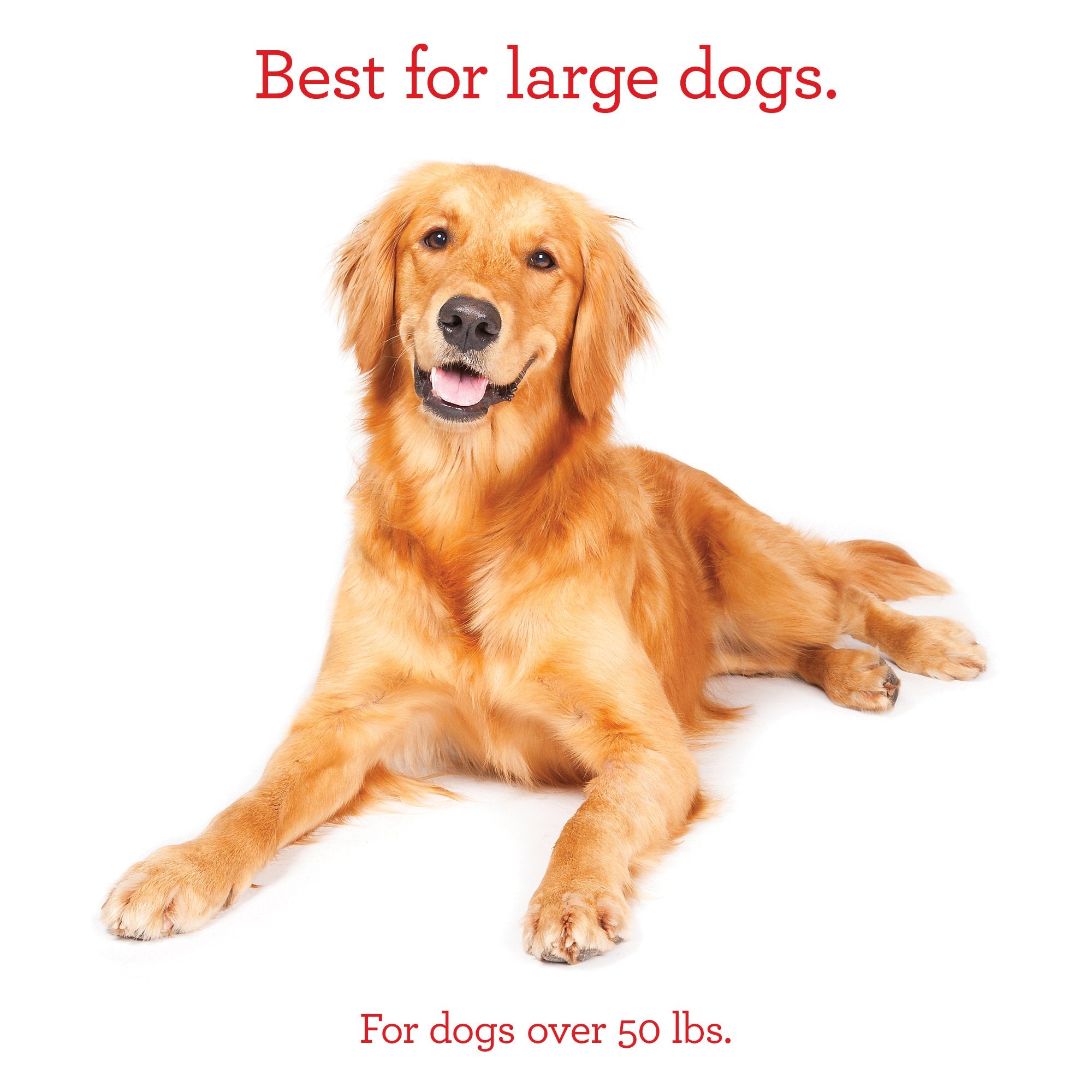 Milk-Bone Original Crunchy Biscuit Dog Treats with Real Chicken Helps Clean Teeth, Large Size Snacks for Big Dogs, 900g Box