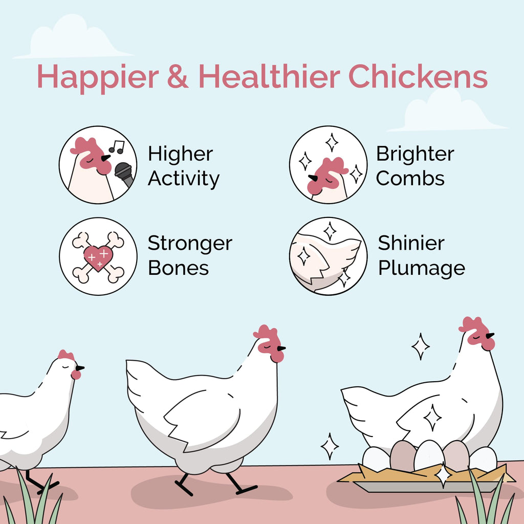 Organic Layer Feed for Chickens & Ducks. 16% Protein, Non-GMO, Corn Free, Soy Meal Free, 100% Whole Grains, Formulated to Optimize Health, Made for Layer Hens Aged 20+ Weeks (46 lb)