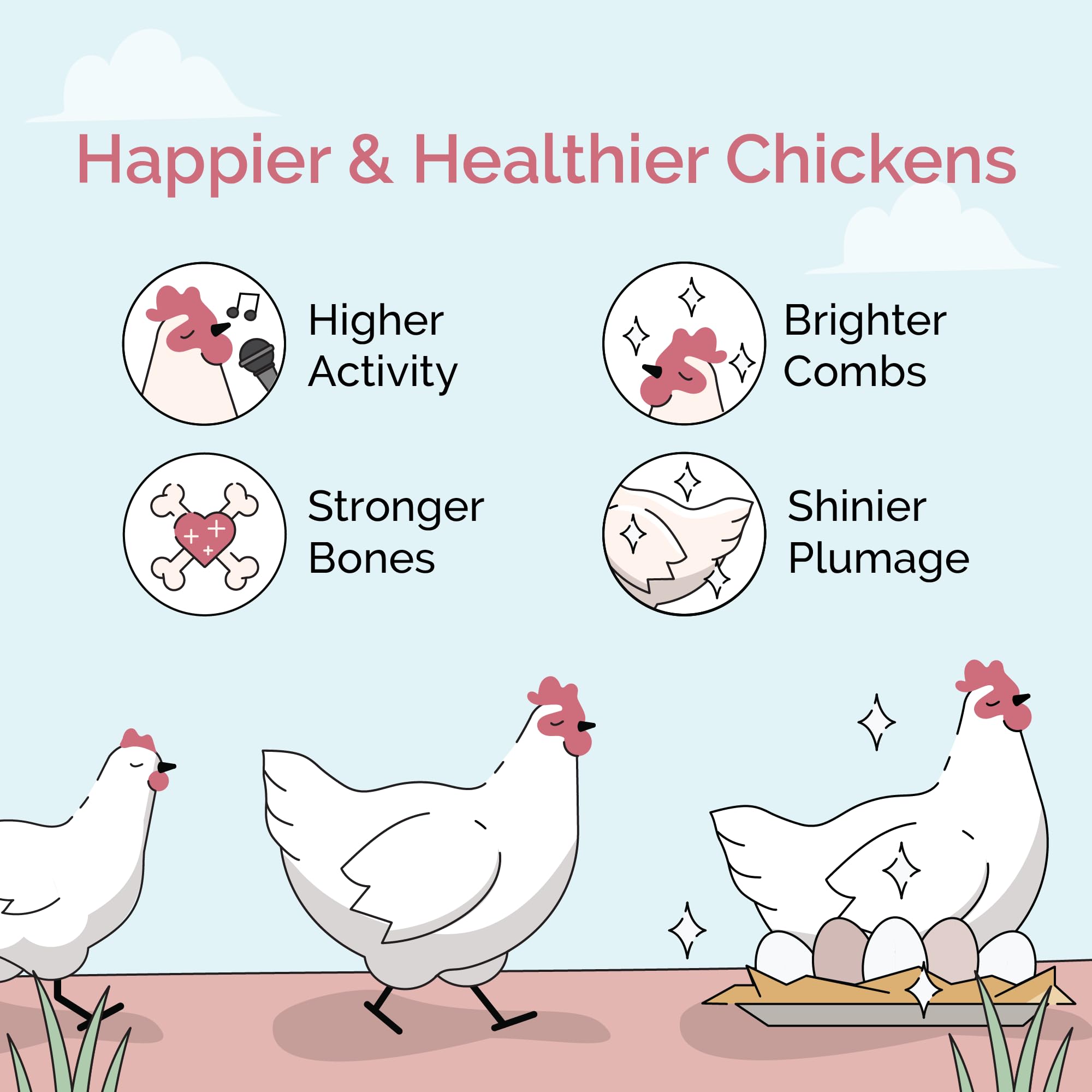 Organic Layer Feed for Chickens & Ducks. 16% Protein, Non-GMO, Corn Free, Soy Meal Free, 100% Whole Grains, Formulated to Optimize Health, Made for Layer Hens Aged 20+ Weeks (46 lb)