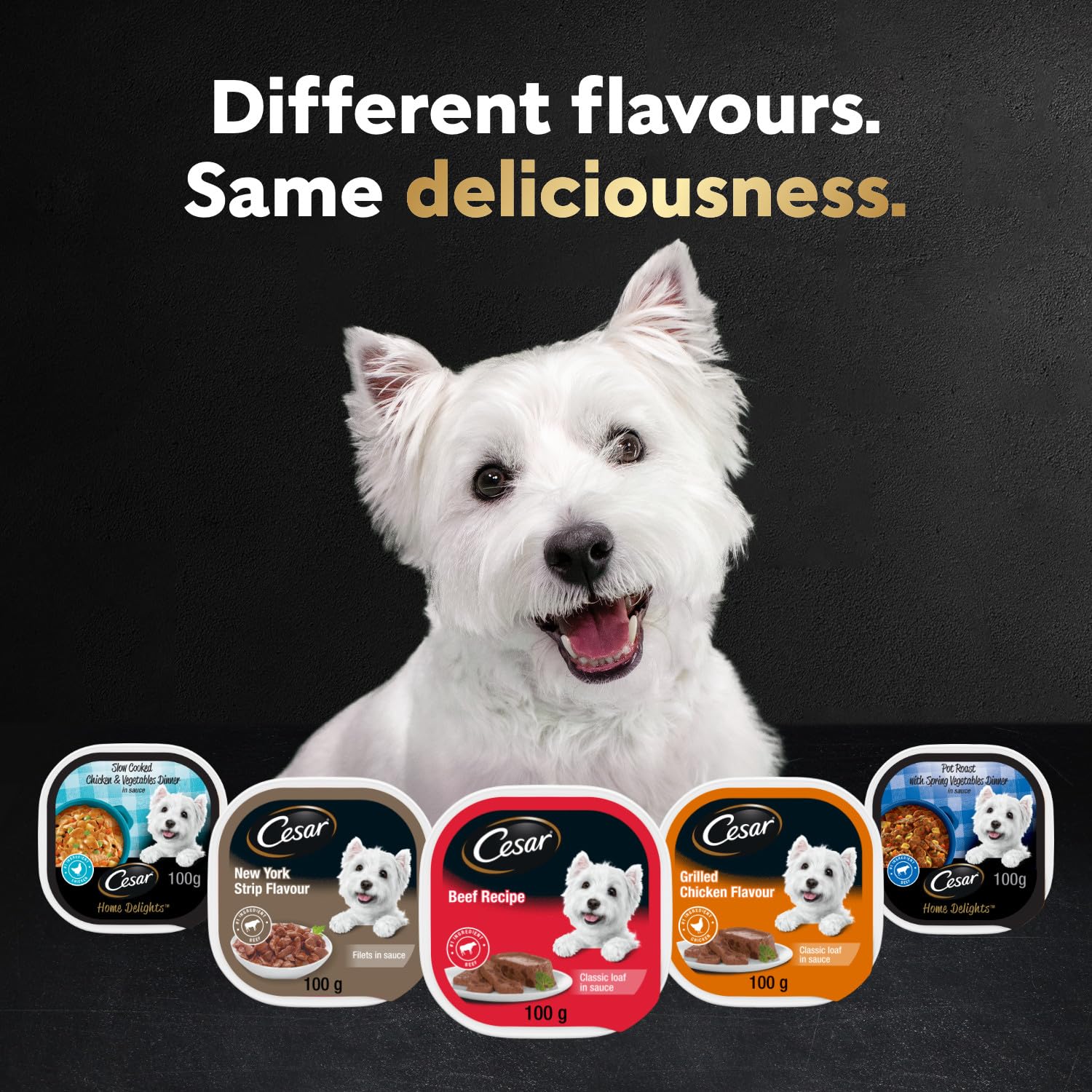 CESAR Home Delights Wet Dog Food - Beef Stew