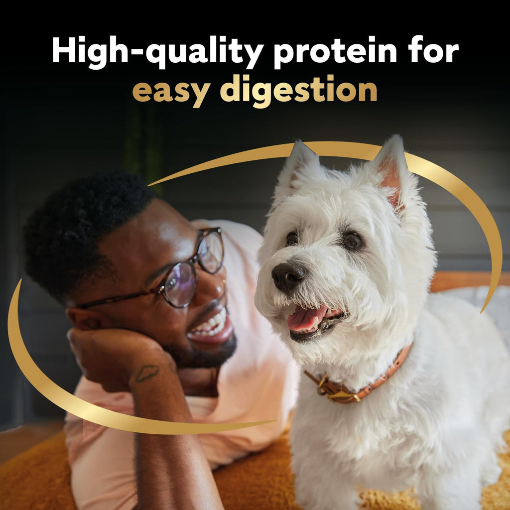 CESAR Home Delights Wet Dog Food - Beef Stew