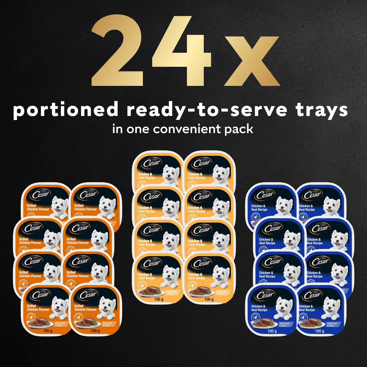 CESAR Classic Loaf in Sauce Adult Wet Dog Food Beef Selects Variety Pack