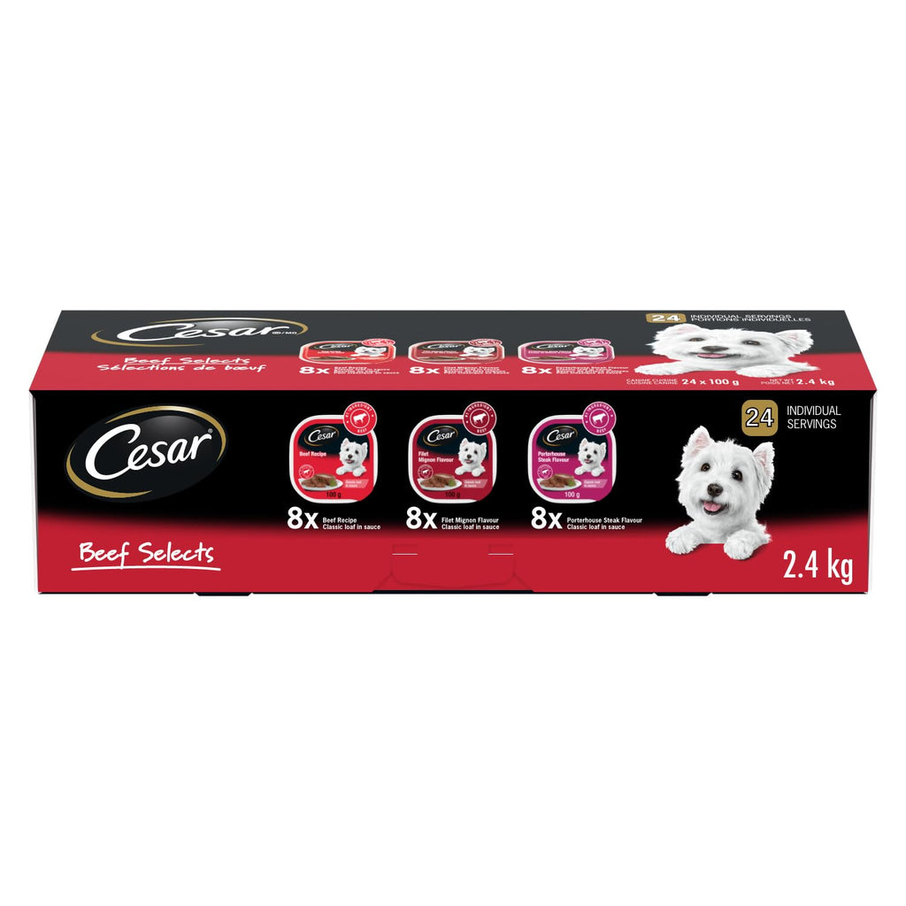 CESAR Classic Loaf in Sauce Adult Wet Dog Food Beef Selects Variety Pack
